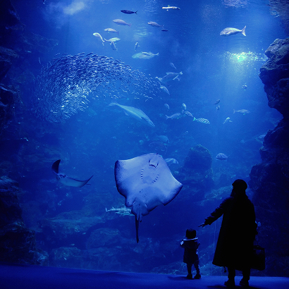 Oceanográfic