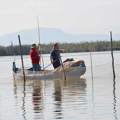 Parque Natural Albufera